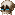 cry
